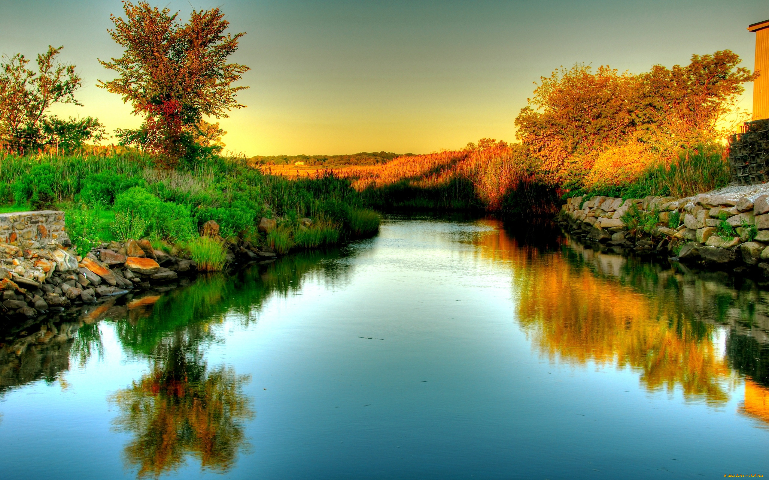 Какого цвета бывают реки